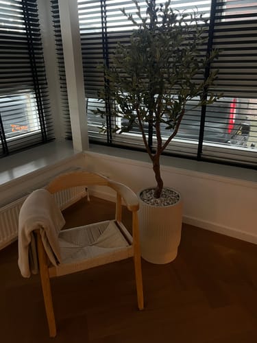 Customer photo review of Kunst Olijfboom 150cm