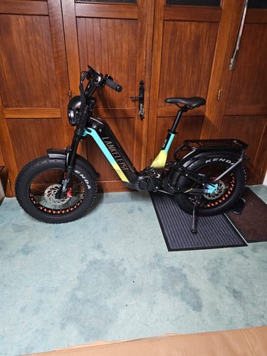 Customer photo review of Lankeleisi RX800 Plus 1000W 20" Fat Bike Full Suspension Electric Bike 48V 20Ah Samsung Battery SUV E-Bike