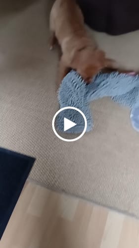 Customer video review of CleanyDry MAX