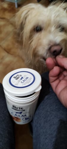 Avaliação com foto de um cliente sobre Brit Vitamins Calm | 150 gramas