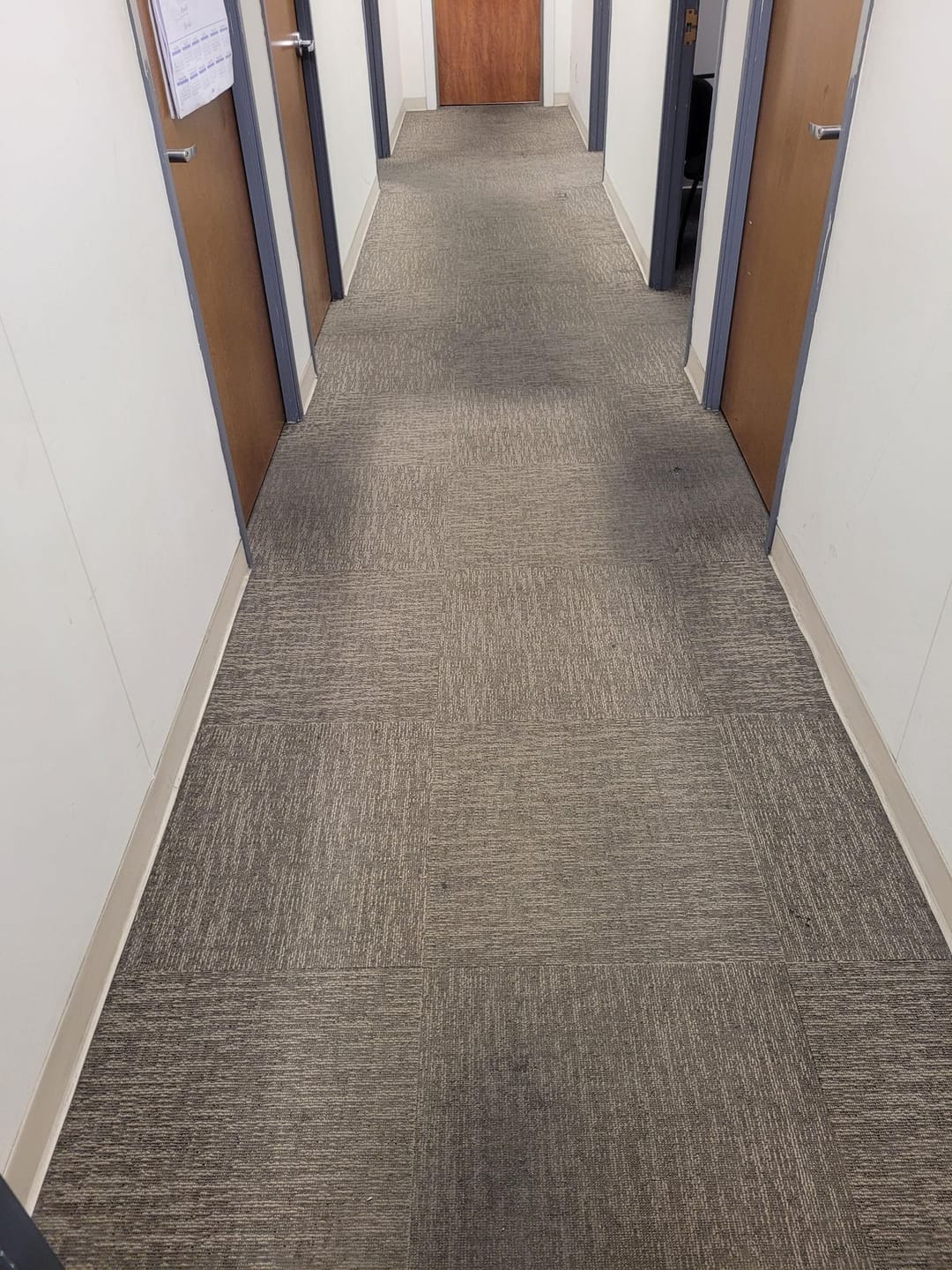 Customer photo review of • Releasit Encap-Clean DS2 (4 Gallon) Encapsulation Carpet Cleaning Detergent [Encap]