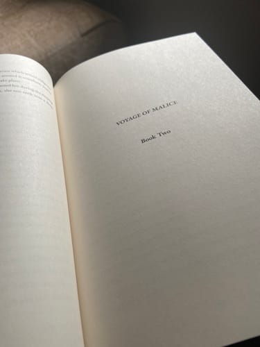 Customer photo review of The Huguenot Chronicles trilogy (Paperback)