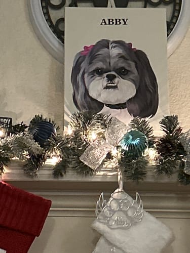 Customer photo review of The Passport - Custom Pet Canvas