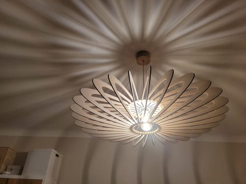 Customer photo review of NEO | Suspension