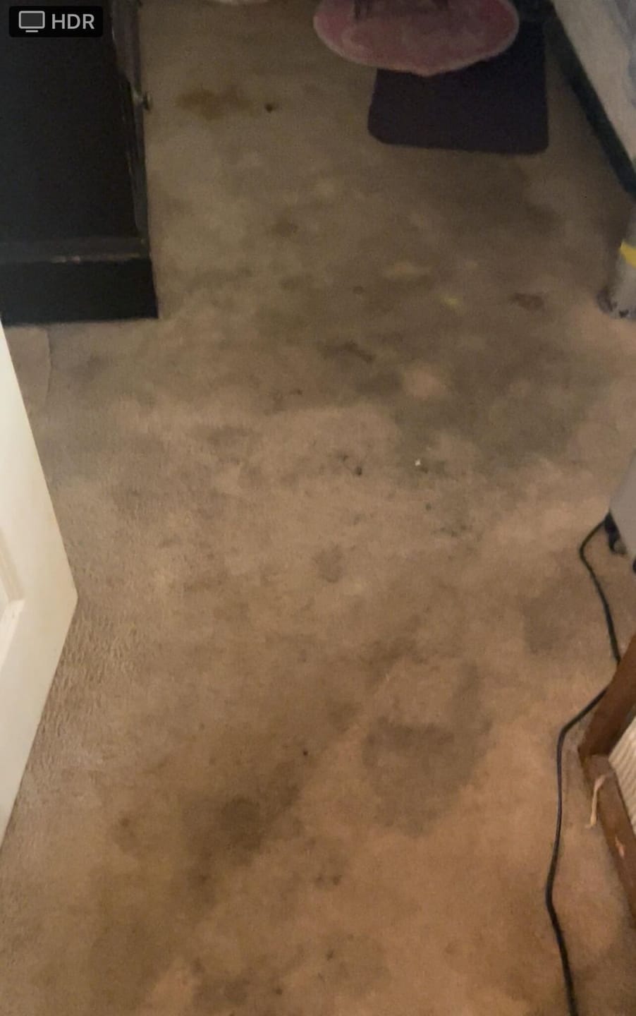Customer photo review of • Releasit Encap-Clean DS2 (4 Gallon) Encapsulation Carpet Cleaning Detergent [Encap]