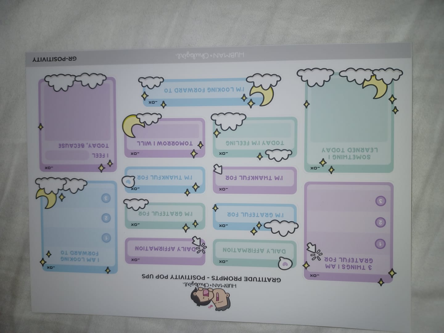 Customer photo review of Sticker Sheet - Gratitude Prompts Positivity Pop-Ups Theme