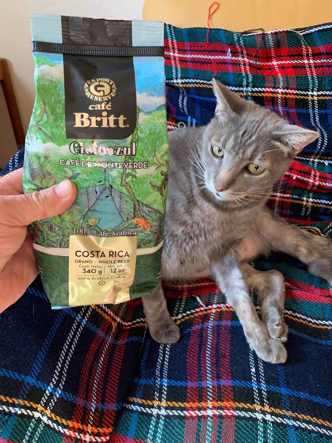 Customer photo review of COSTA RICAN CIELOAZUL COFFEE FROM MONTEVERDE