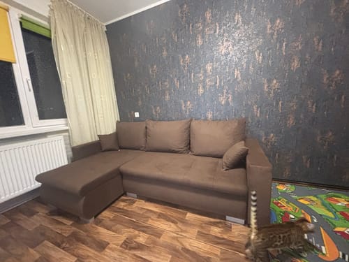 Kliento apžvalga su nuotrauka apie Minkštas kampas LOKO