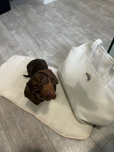 Customer photo review of Marshmallow┃The Bouclé Carrier