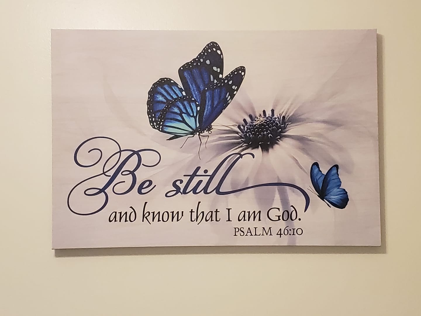 Customer photo review of Butterfly Flower Be Still And Know That I Am God Psalm 46:10 Wall Art Canvas