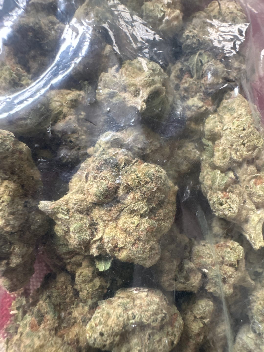 Customer photo review of Zoap - THCa Flower