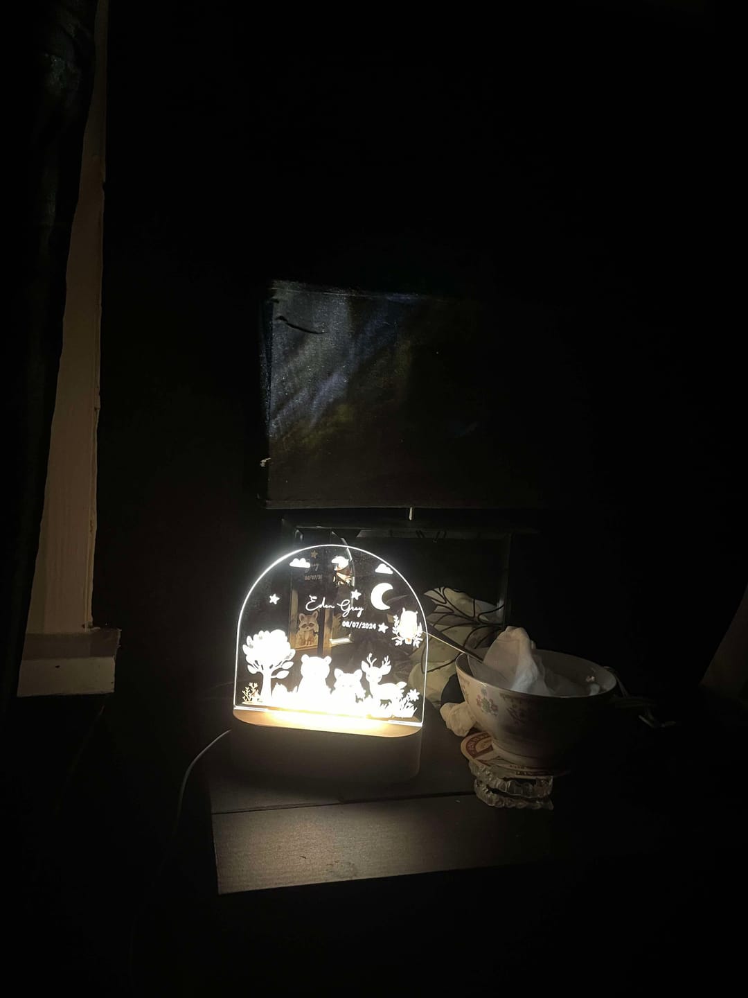 Customer photo review of Animal Friends - Personalized Night Light
