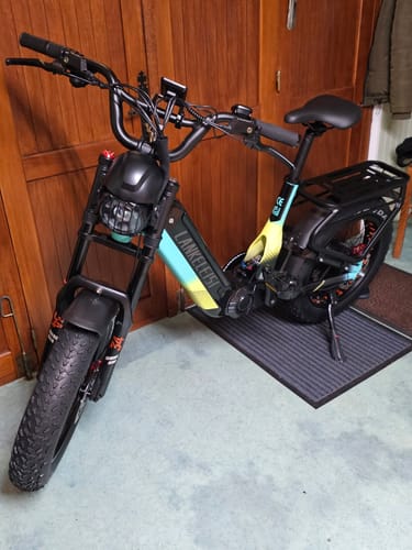 Customer photo review of Lankeleisi RX800 Plus 1000W 20" Fat Bike Full Suspension Electric Bike 48V 20Ah Samsung Battery SUV E-Bike