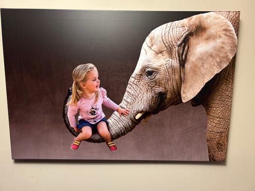 Customer photo review of Elephant Trunk