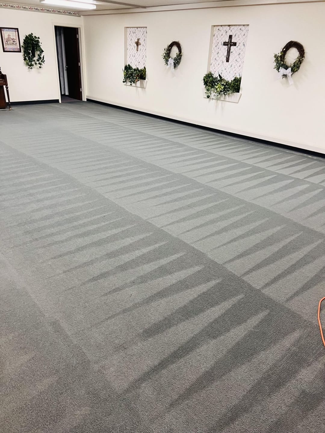 Customer photo review of ~ Releasit Encap-Spot – Encapsulation Carpet Spot Remover and Odor Treatment (1 Quart) Encapsulation Carpet