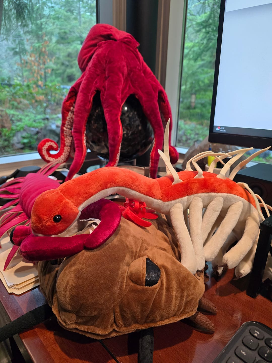 Customer photo review of Trilobite Arthropod Soft Stuffed Plush Toy