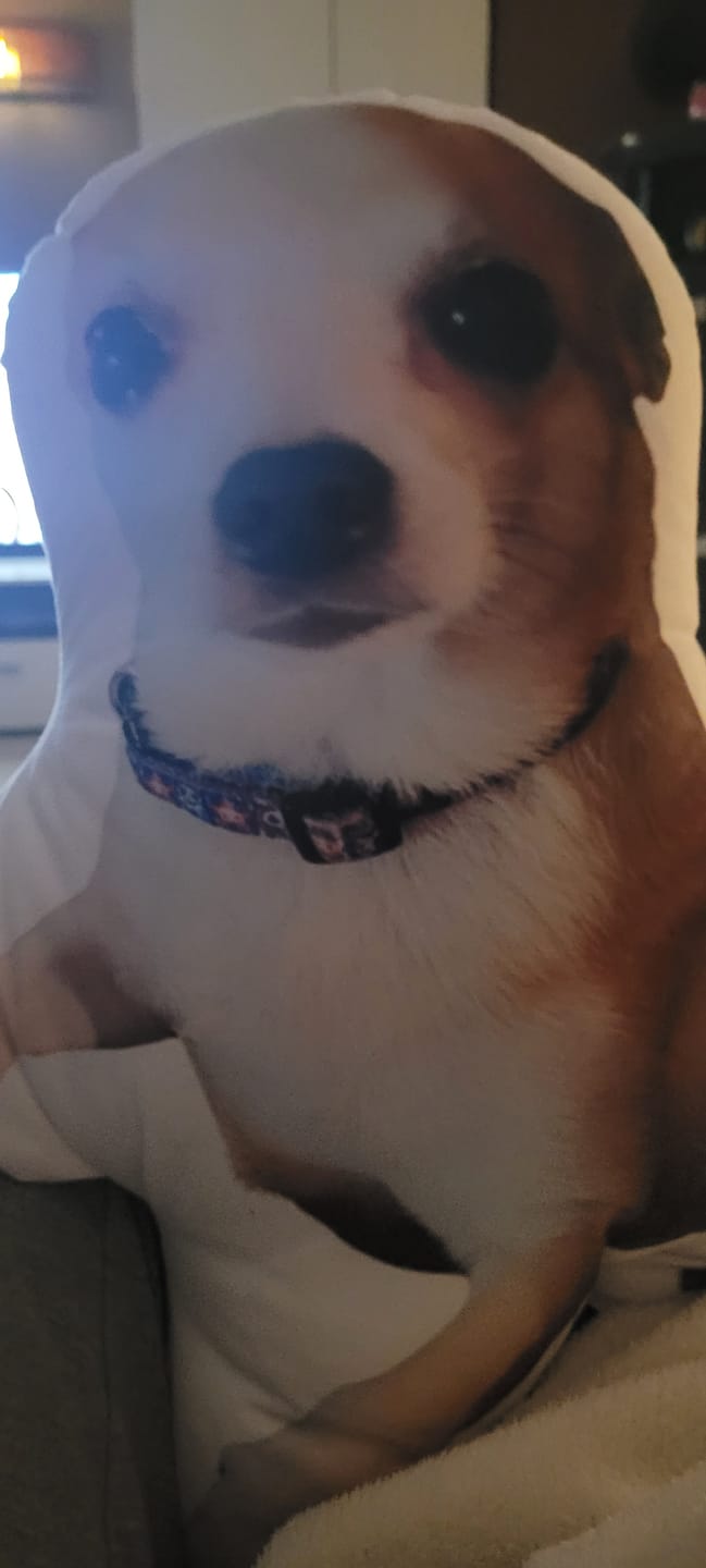 Customer photo review of Personalisiertes Hundekissen