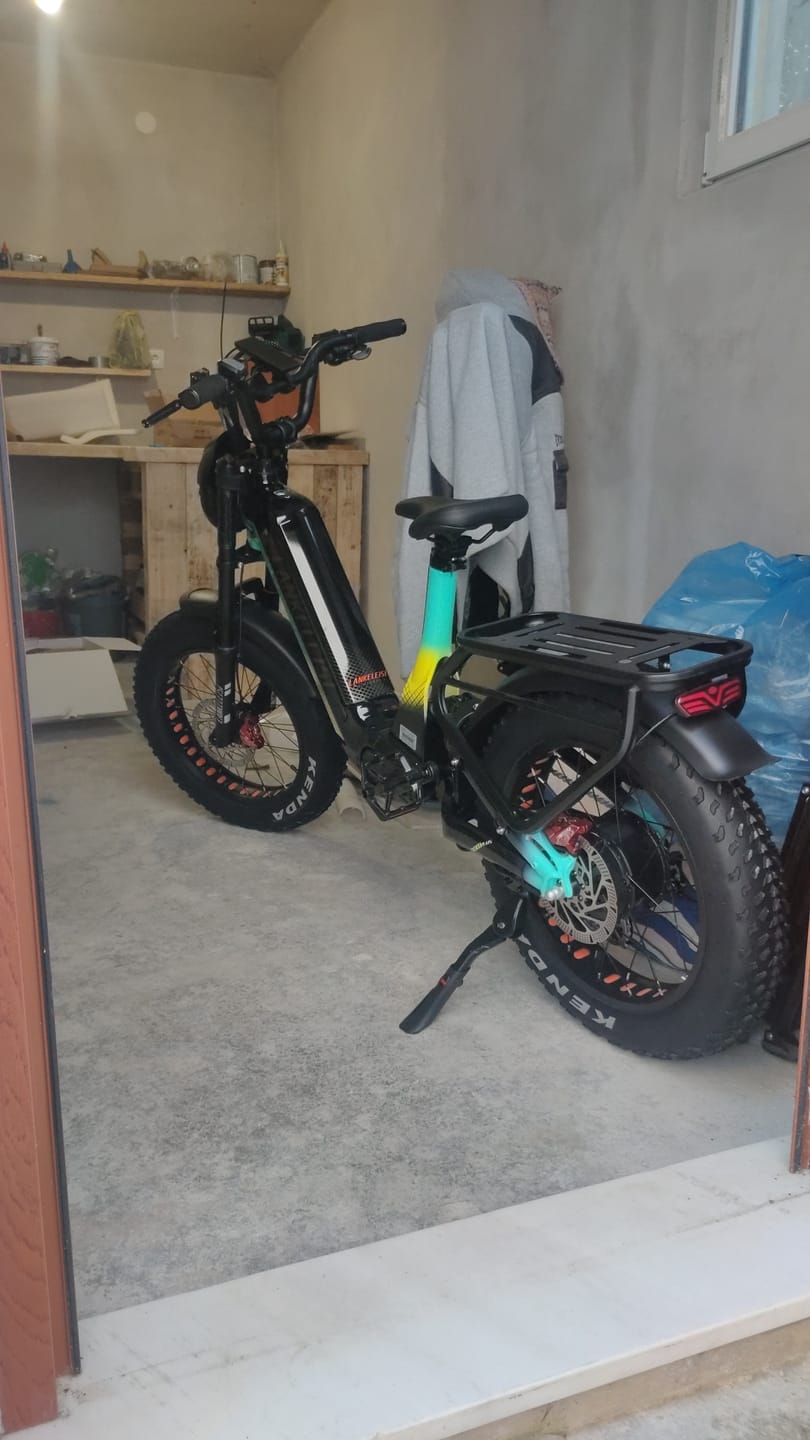 Customer photo review of Lankeleisi RX800 Plus 1000W 20" Fat Bike Full Suspension Electric Bike 48V 20Ah Samsung Battery SUV E-Bike