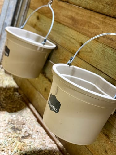 Customer photo review of The Hay Chix® Favorite Bucket