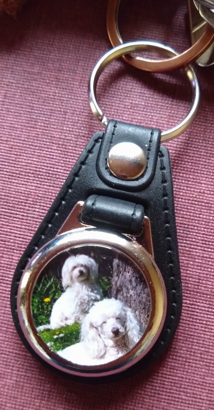 Customer photo review of Schlüsselanhänger-Bundle Rund 3x dein Foto für nur 19,90 €