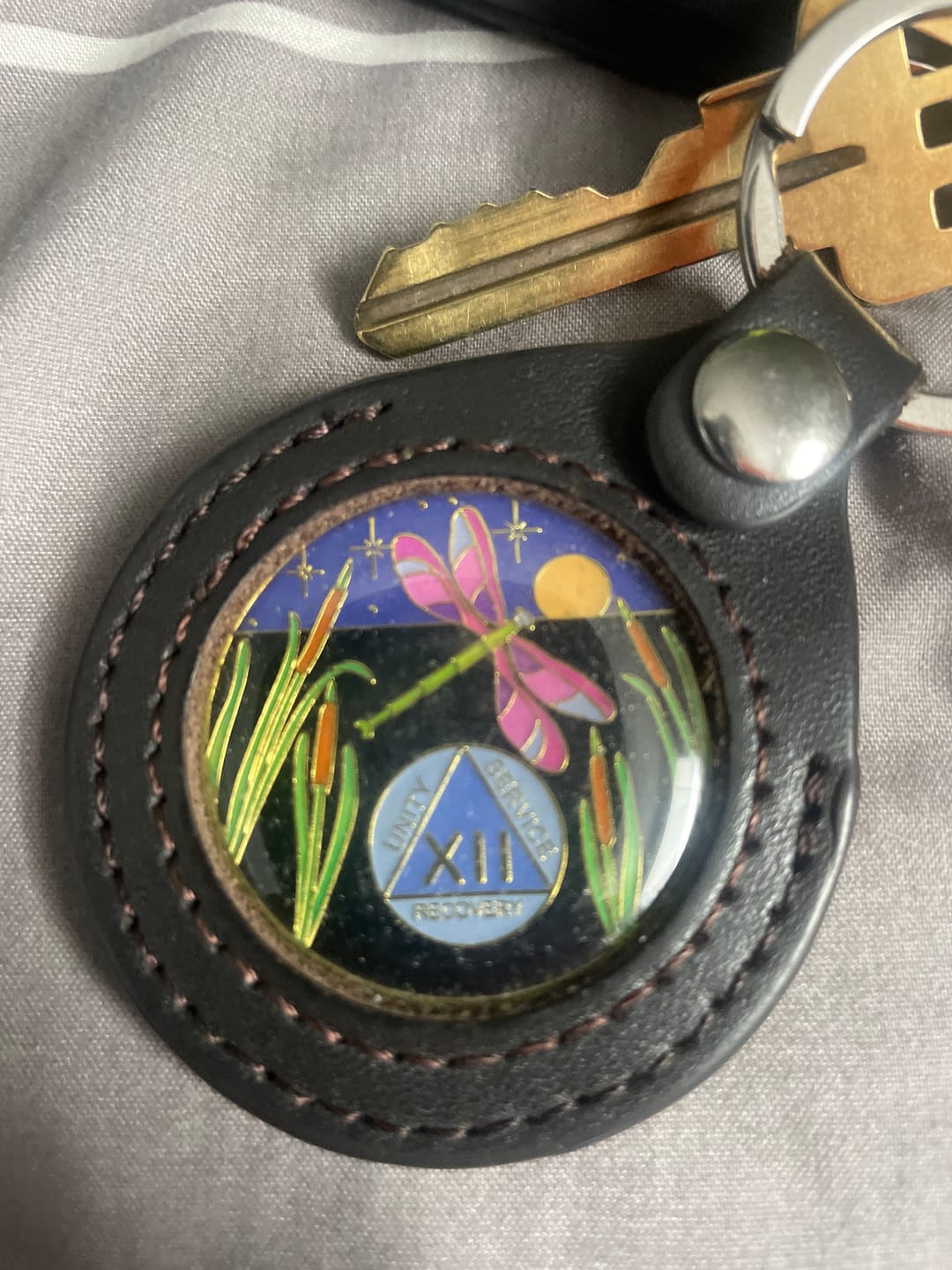 Customer photo review of 1 to 60 Year Dragonfly 9th Step Specialty AA Recovery Medallion - Tri-Plated Chip/Coin