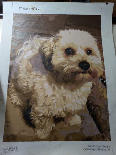 Customer photo review of Paint Your Pet by Numbers Featuring Custom Paint by Numbers Kit