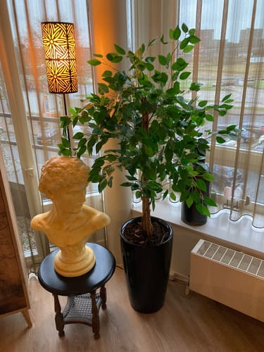 Customer photo review of Kunst Ficus 130cm