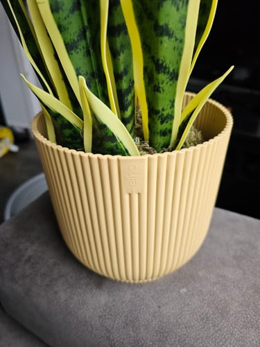 Customer photo review of Bloempot Elho Vibes Fold rond 18 cm Butter Yellow