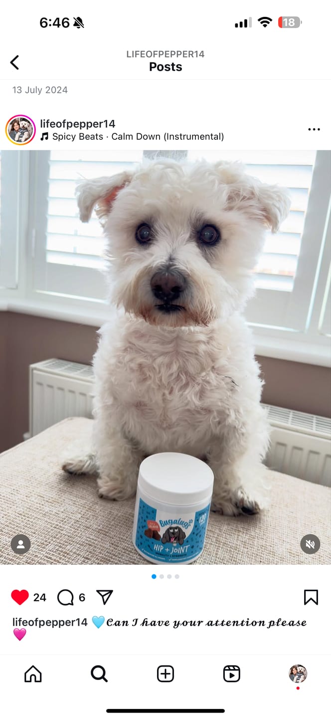 Customer photo review of Hip + Joint Supplement Chews for Dogs