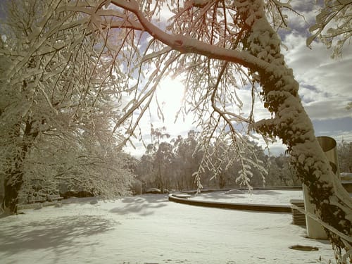 Customer photo review of NUVINT - Digitalkamera