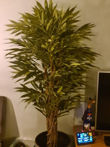 Customer photo review of Pre-Order Longifolia Kunstplant 180cm