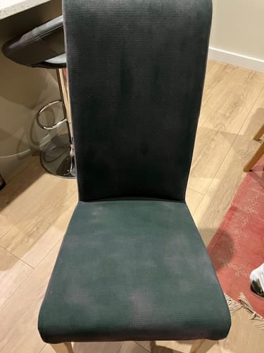 Customer photo review of Fabric Paint -- Dark Green