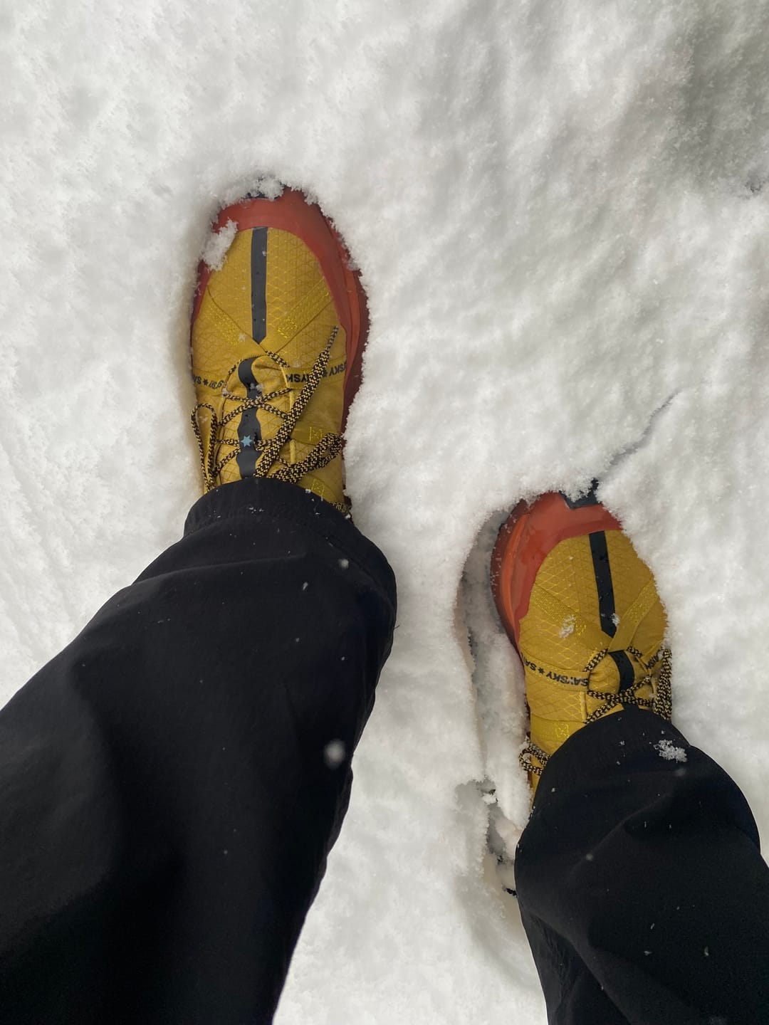 Customer photo review of get lost, saysky edition.