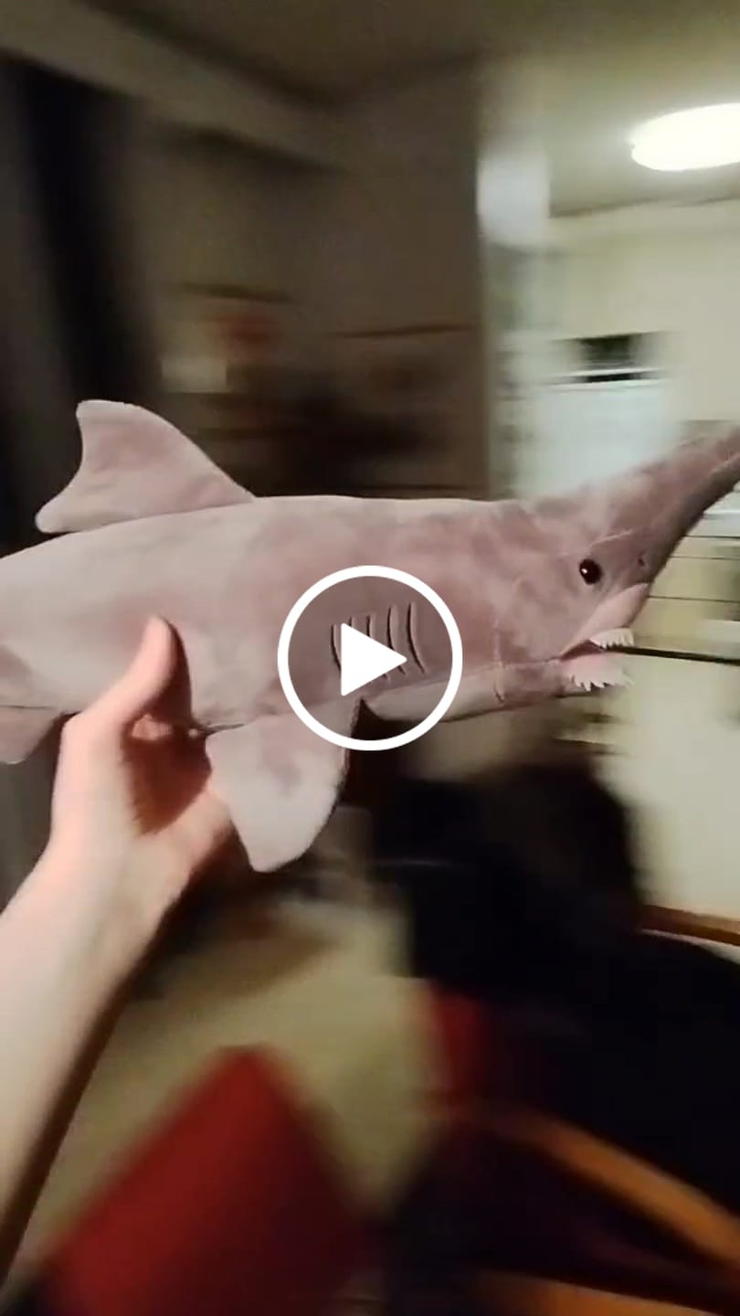 Customer video review of Goblin Shark Soft Stuffed Plush Toy