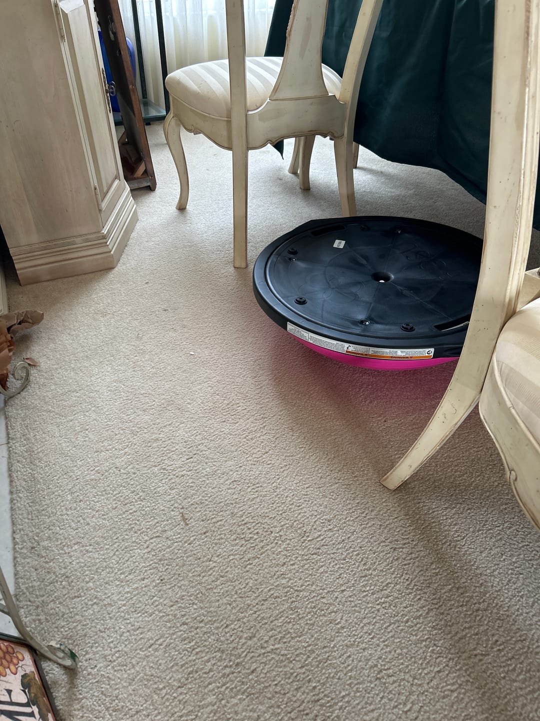 Customer photo review of BOSU® Home Balance Trainer