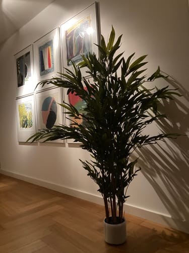 Customer photo review of Bamboe Kunstplant 150cm