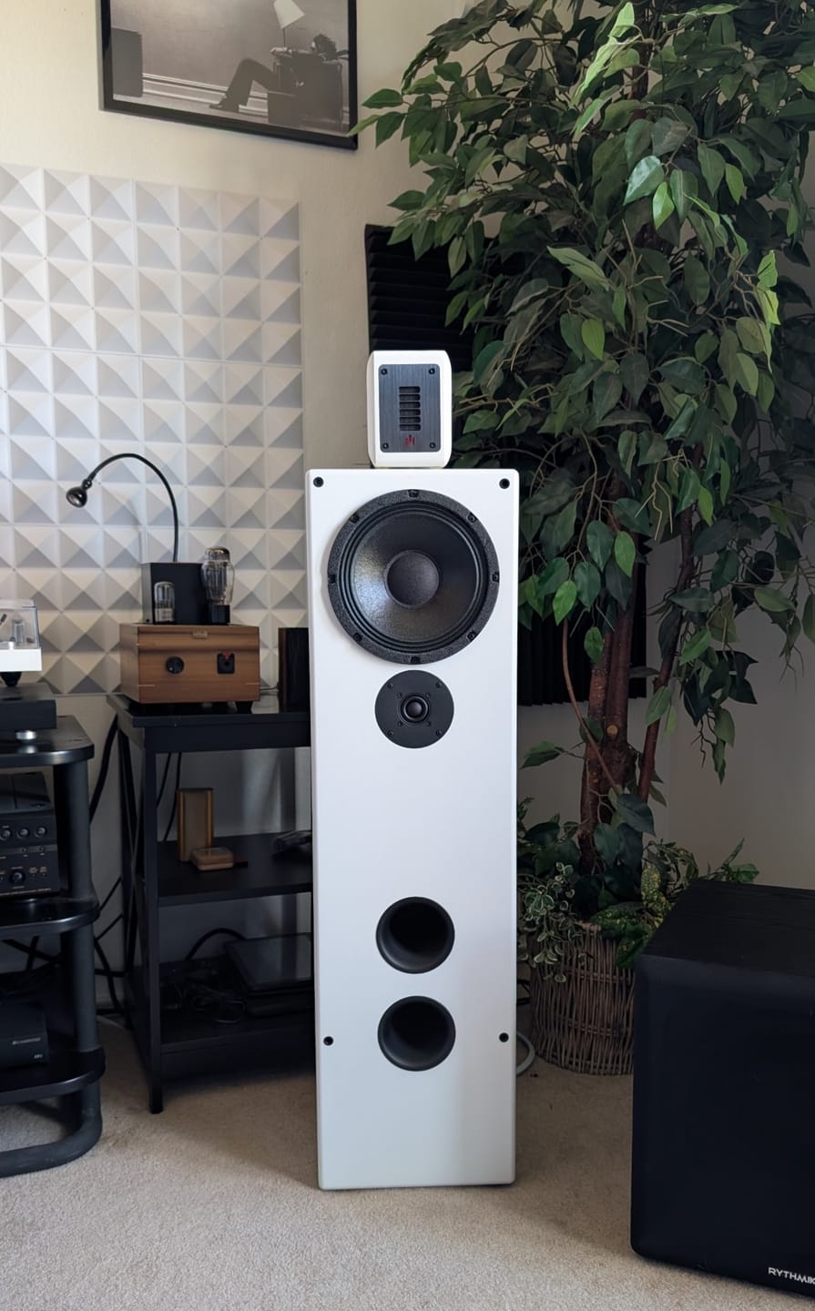 Customer photo review of PST Planar-Magnetic Ribbon Super Tweeter Speaker Pair