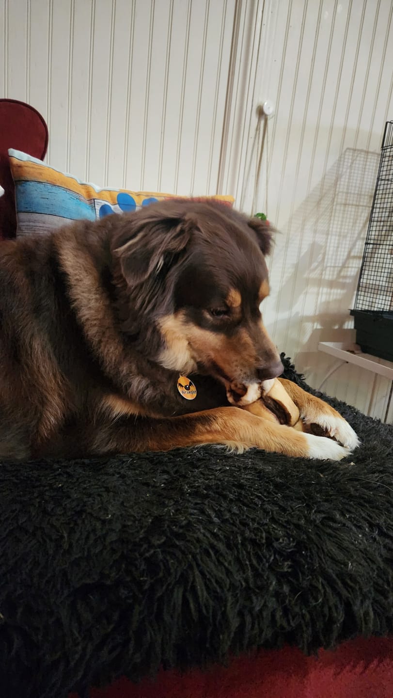 Customer photo review of 10-12 Inch Peanut Butter Cheek Roll