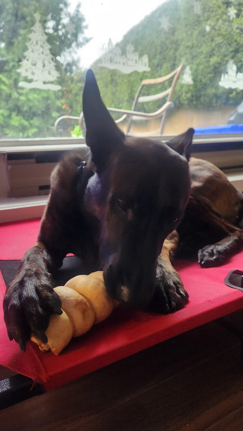 Customer photo review of 5-6 Inch Peanut Butter Cheek Roll