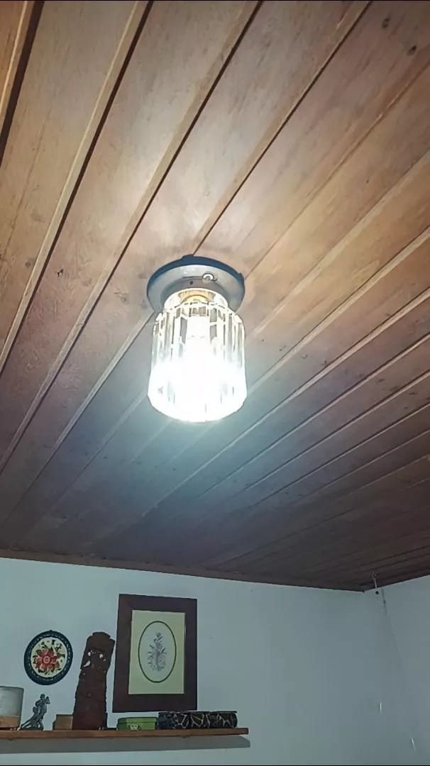 Customer photo review of Luminária de Teto Sofisticada Cúpula de Vidro Bivolt