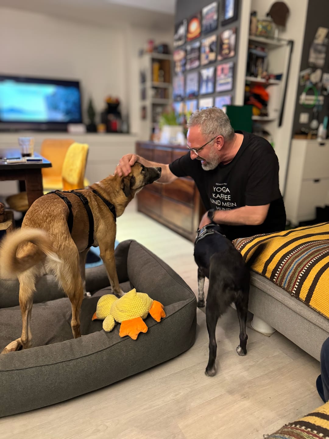 Customer photo review of Yoga Kaffee und mein Hund 100% Bio T-Shirt Unisex