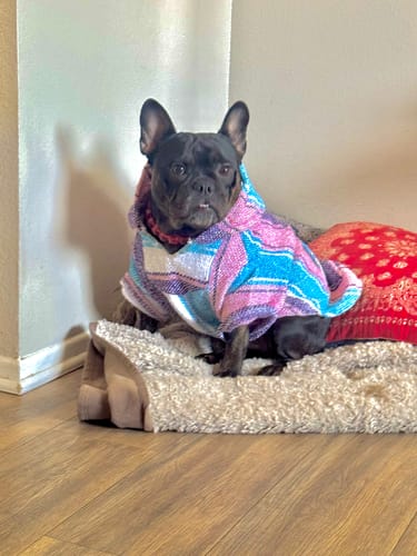 Customer photo review of Free & Easy Return or Exchange Coverage + Package Protection