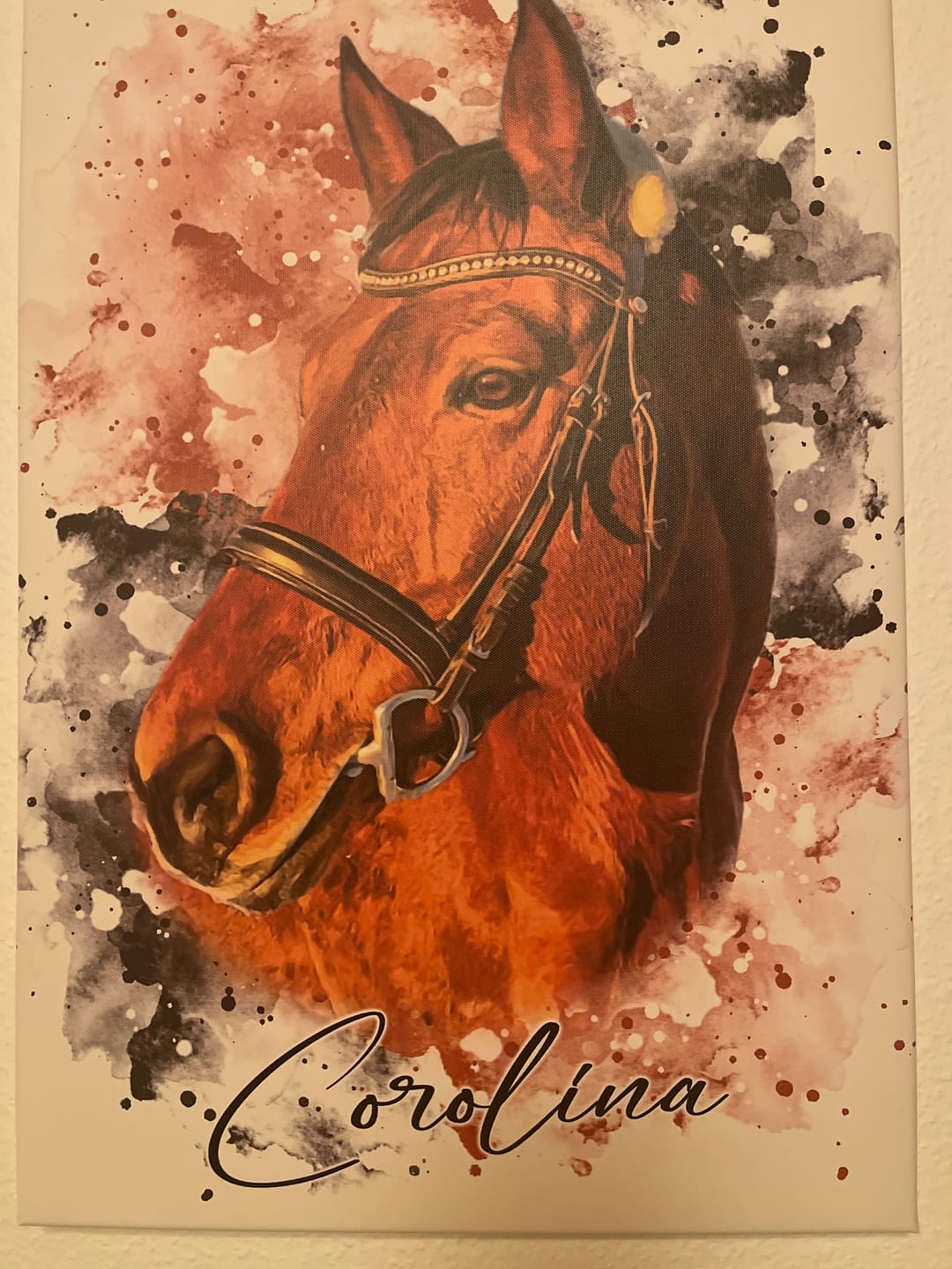 Customer photo review of Dein Pferd als Wasserfarben Portrait
