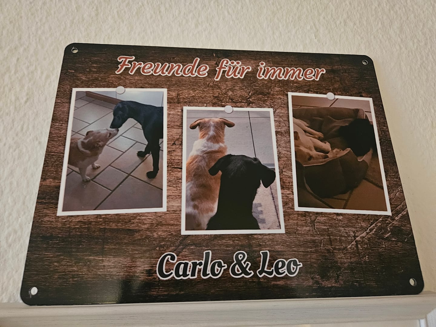 Customer photo review of Hunde-Türschild personalisiert mit Foto & Text (UV- und wetterfest)