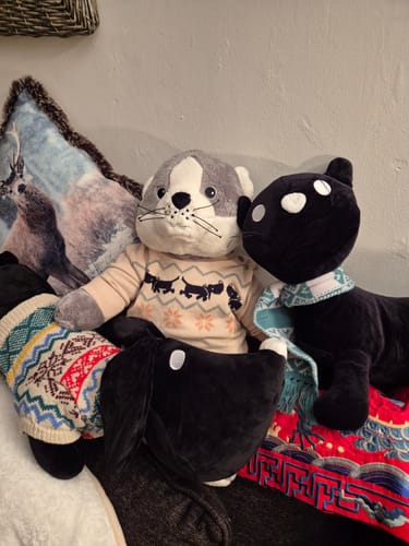 Customer photo review of Lotgenootje Kat 2kg