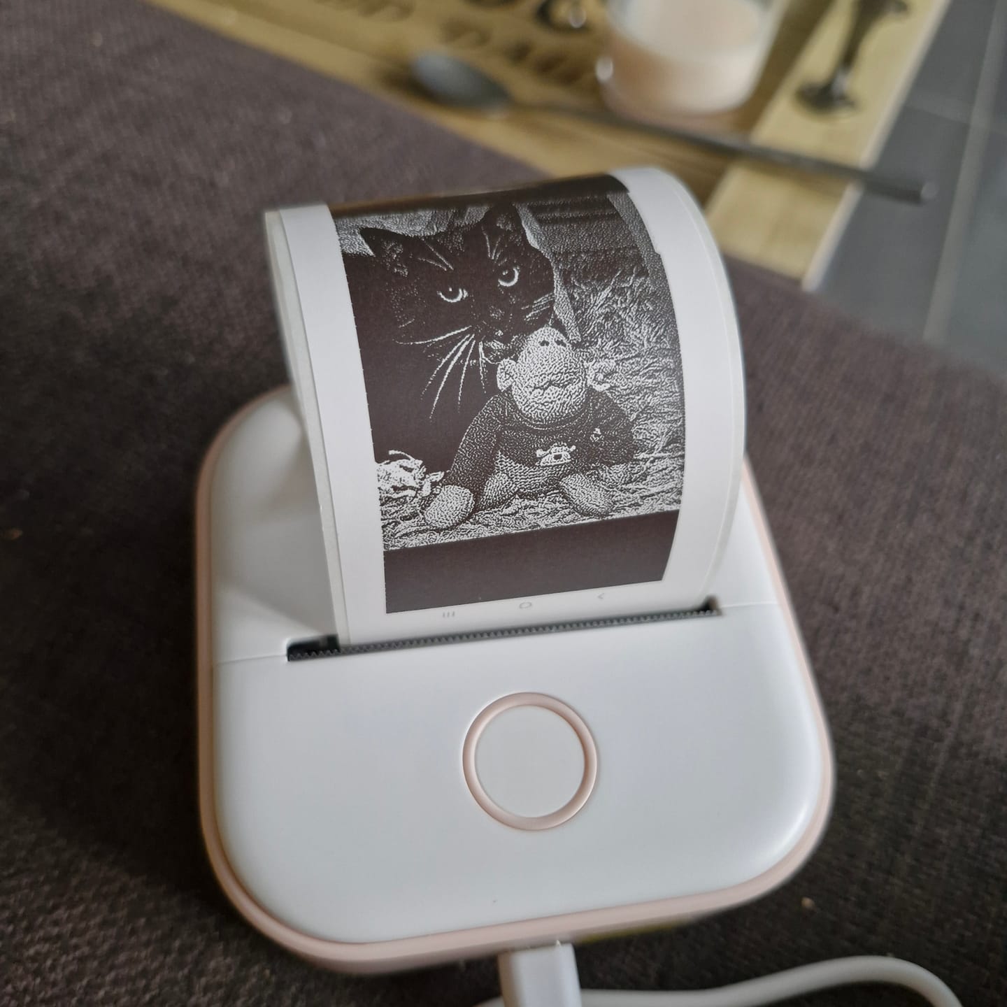 Customer photo review of thermanote