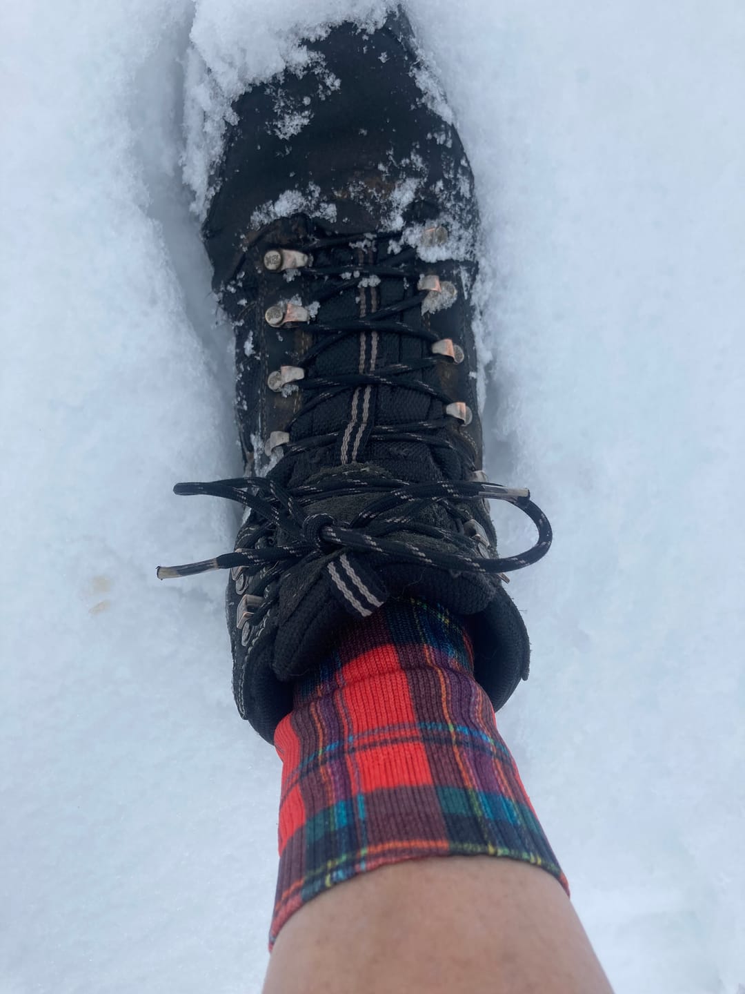 Customer photo review of Prints: HEMY Crew Waterproof Socks