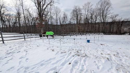 Customer photo review of Ready Made Portable Electric Horse Corral Fencing: (Electric EconoLine 12 Panels; 2 Rails)