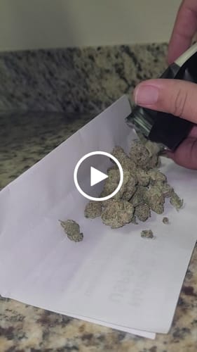 Customer video review of Tropic Thunder