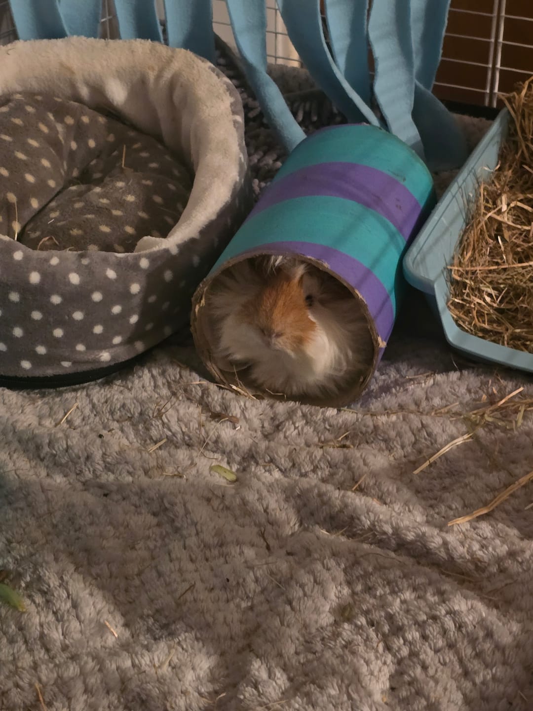 Customer photo review of Set of 2 Fleece Liners | Velvet Grey | Plush Bedding